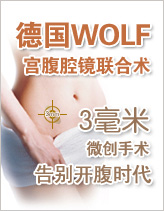 德国WOLF宫腹腔镜联合术